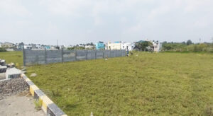 Alankar_Synergy_plots